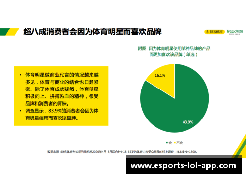 体育明星营销策略分析与市场影响力研究总结